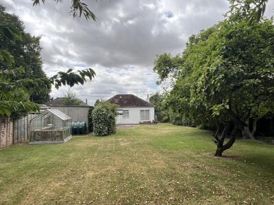 Picture 16